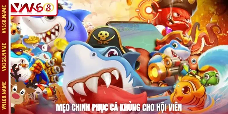 Mẹo chinh phục cá khủng cho hội viên 